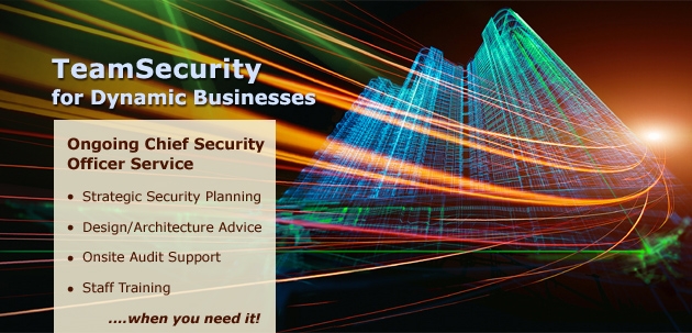 Learn More About Team Security for Dynamic Businesses >